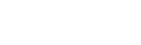 Everest Group RESEARCH logo